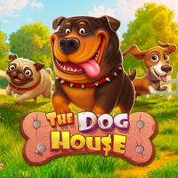 vs20doghouse